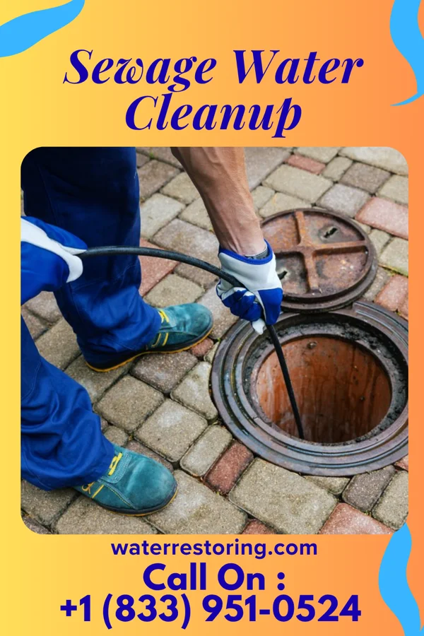 Sewage Water Cleanup in Green Isle, MN